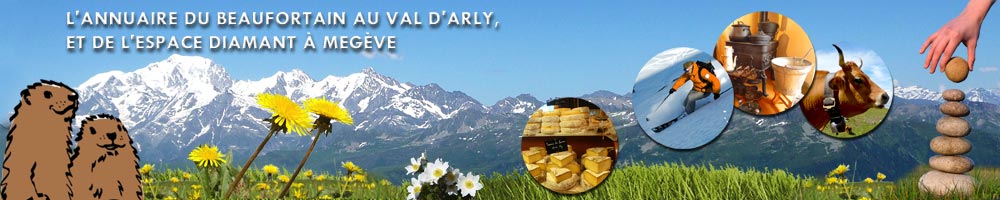 Aller à la page d'accueil de l'annuaire ANNUAIRE BEAUFORTAIN VAL D'ARLY MEGEVE ESPACE DIAMANT
